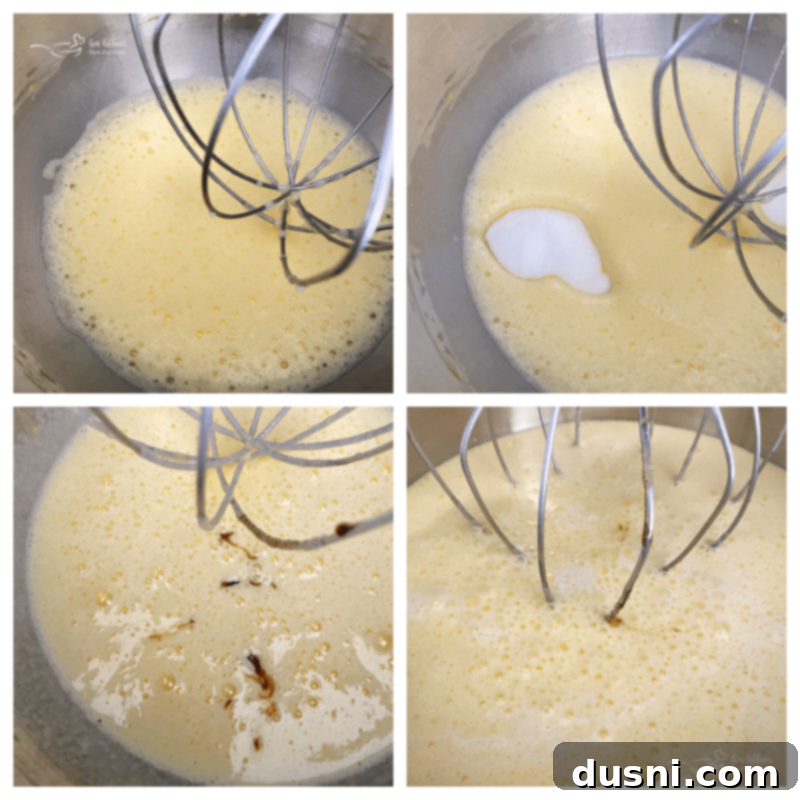 Velvet Homemade Cinnamon Vanilla Ice Cream 6 stirring vanilla ice cream ingredients