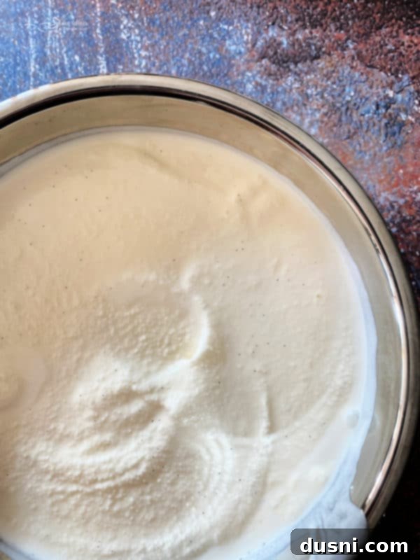 Velvet Homemade Cinnamon Vanilla Ice Cream 7 homemade ice cream