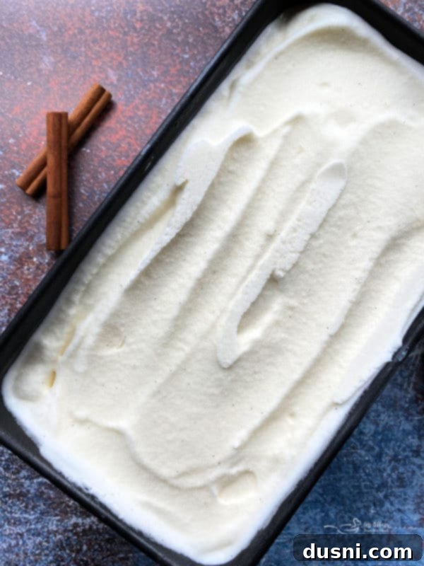 Velvet Homemade Cinnamon Vanilla Ice Cream 8 img 23192 7