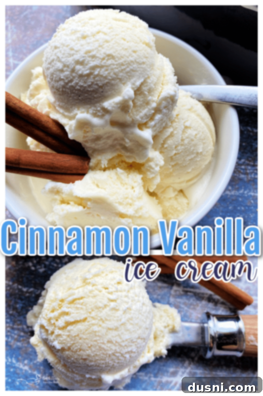 Velvet Homemade Cinnamon Vanilla Ice Cream 9 homemade cinnamon vanilla ice cream dessert