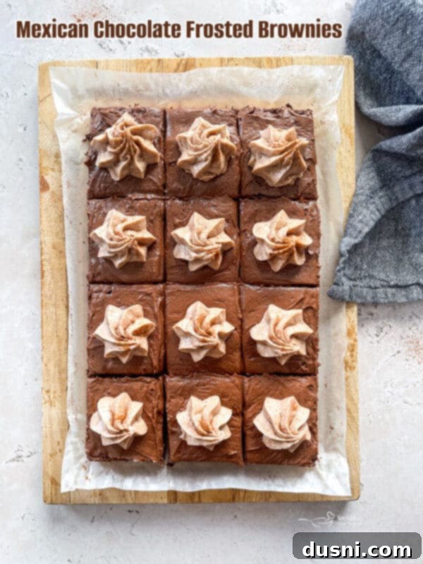 Mexican Chocolate Frosted Brownies HERO shot