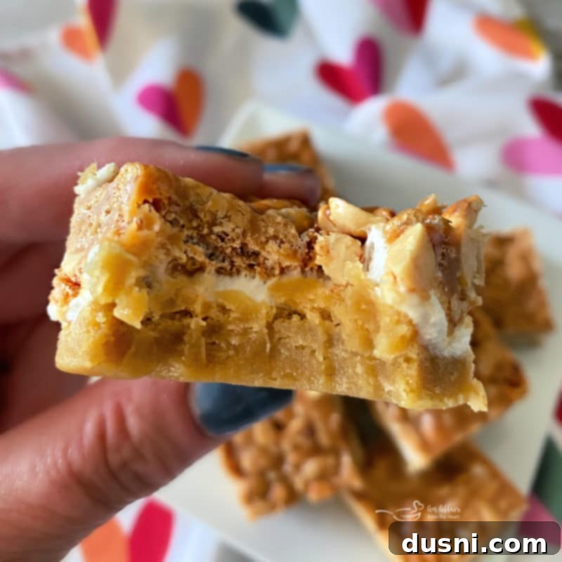 Salted Nut Roll Bars bite