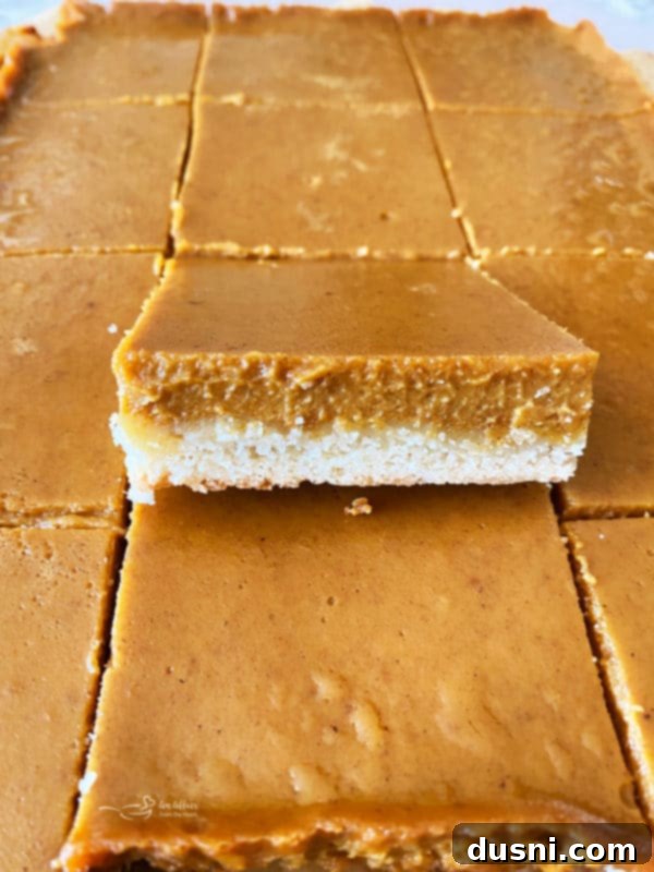 Close-up of a single Pumpkin Pie Bar