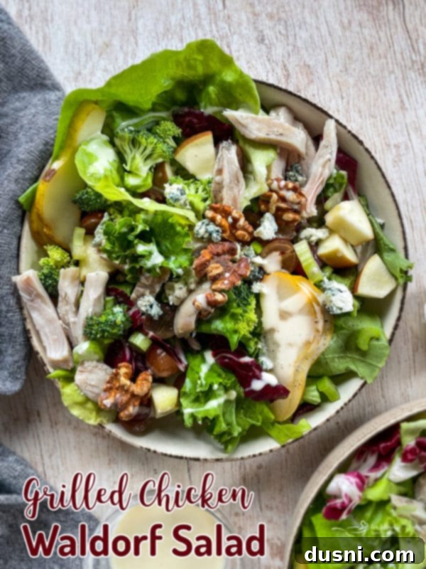 Chicken Waldorf Salad Recipe Top-down view of a beautifully arranged Grilled Chicken Waldorf Salad in a white bowl, garnished with crunchy walnuts and fresh fruits.