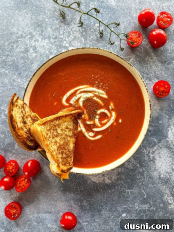 A bowl of creamy fire-roasted tomato soup with a spoon and garnishes.
