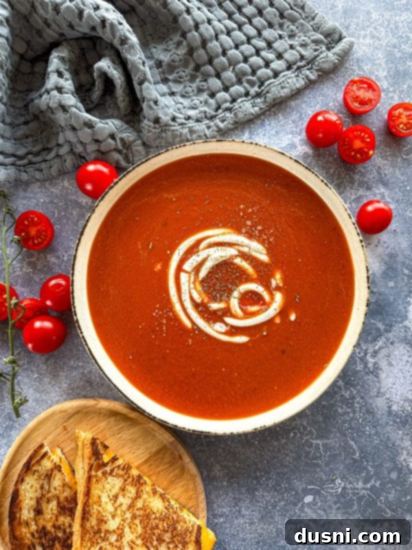 Overhead shot of a bowl of fire-roasted tomato soup garnished with tortilla strips and sour cream.