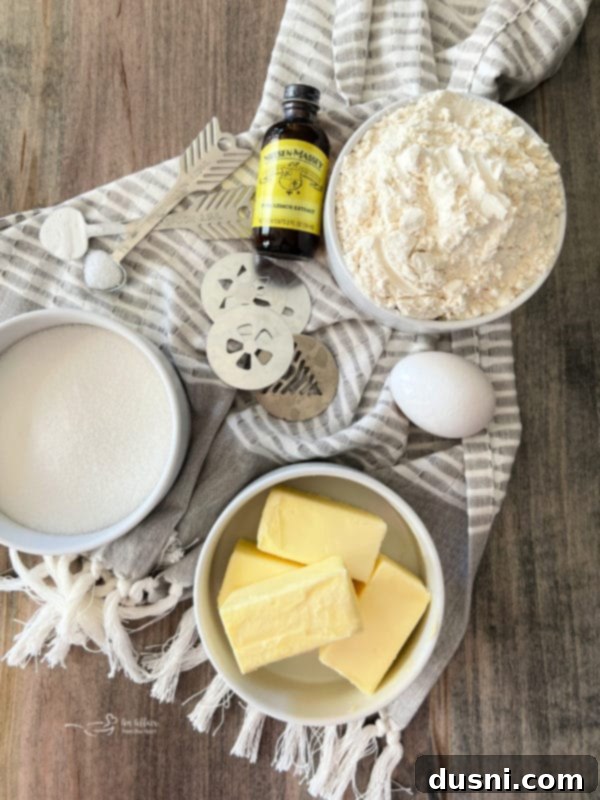 A flat lay of spritz cookie ingredients including butter, sugar, flour, egg, extracts, salt, and baking powder