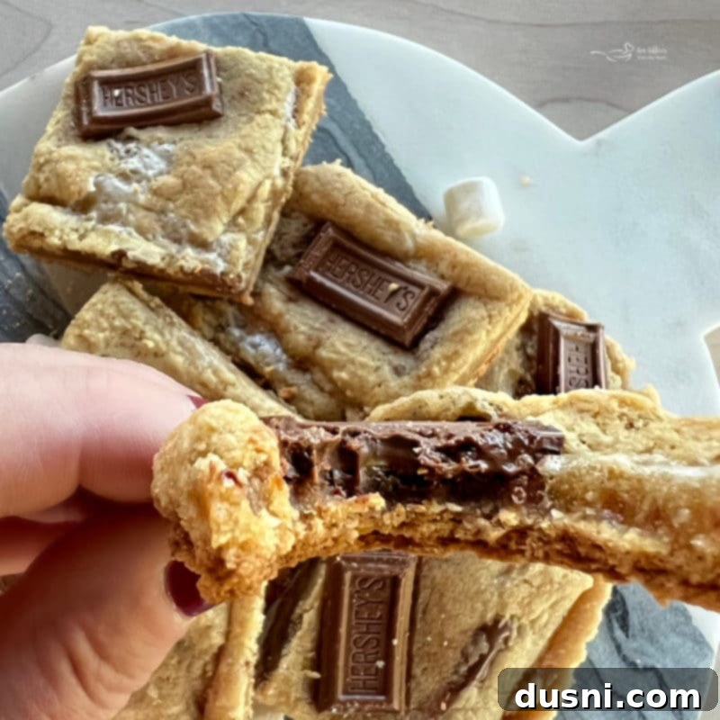 Gooey S'mores Cookie Bars 13 Overhead shot of S'mores Cookie Bars with a glass of milk