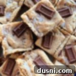 Gooey S'mores Cookie Bars 17 Overhead close up of S'mores cookie bars