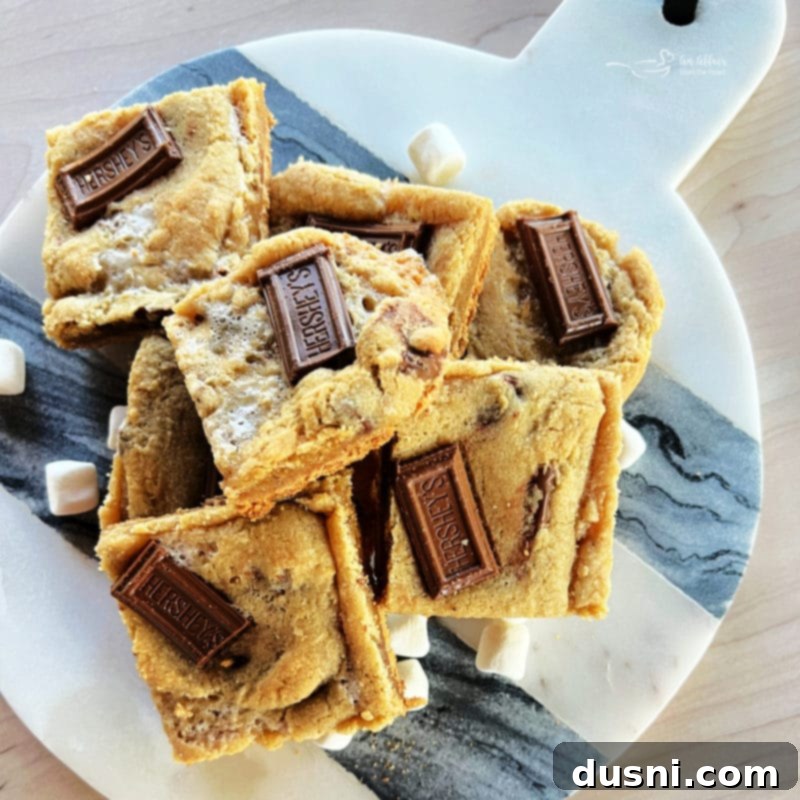 Gooey S'mores Cookie Bars 3 Close-up of S'mores Cookie Bars on a cooling rack