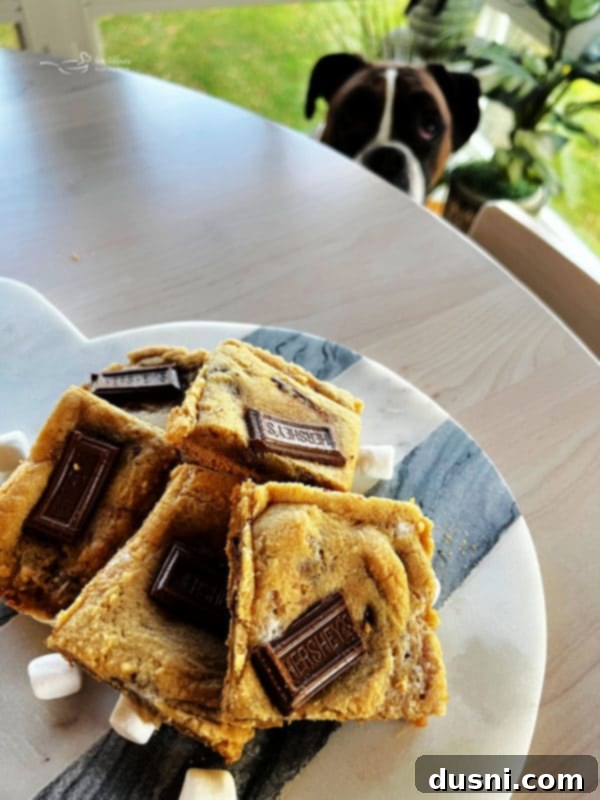 Gooey S'mores Cookie Bars 4 S'mores Cookie Bars with a dog in the background