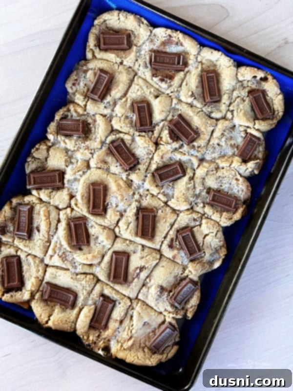 Gooey S'mores Cookie Bars 10 Freshly baked S'mores Cookie Bars in the pan