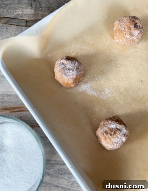 Iced Molasses Cookies Uniform molasses cookie dough balls, coated in granulated sugar, neatly arranged on a parchment-lined baking sheet, ready for baking.