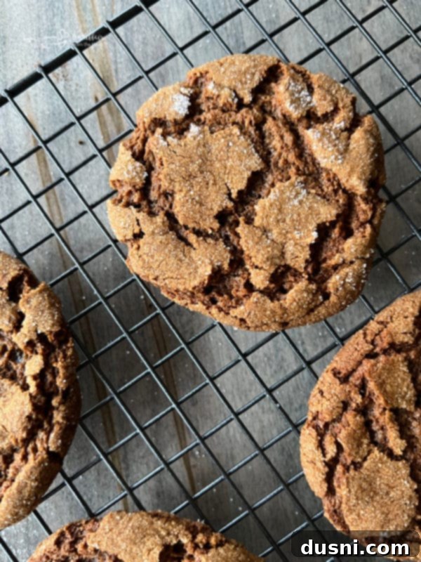 Chewy Iced Molasses Cookies Recipe Freshly baked molasses crinkle cookies, with their signature cracked tops, cooling on a wire rack before icing.