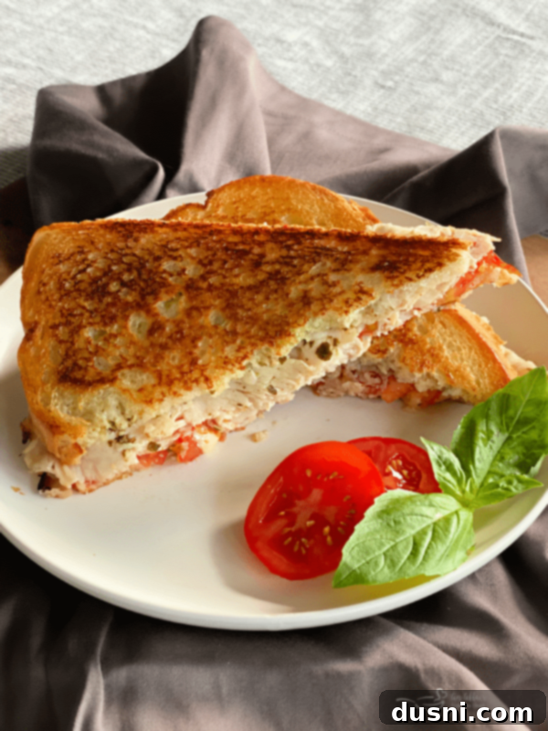 Warm Turkey Havarti Melts 7 Grilled turkey and Havarti sandwich on a white plate