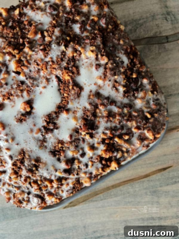 Decadent Bittersweet Chocolate Coffee Cake 11 Image showing iced coffee cake on a serving plate