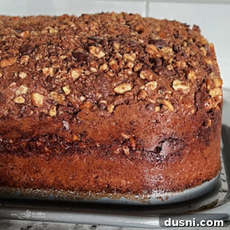 Decadent Bittersweet Chocolate Coffee Cake 10 Image showing removal of springform pan rim from baked cake