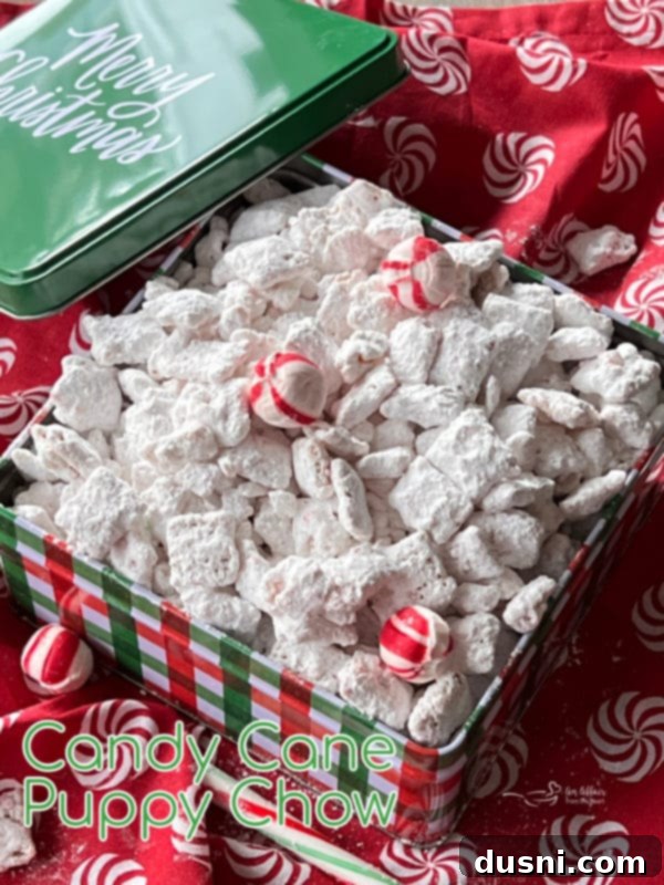 one box of puppy chow recipe