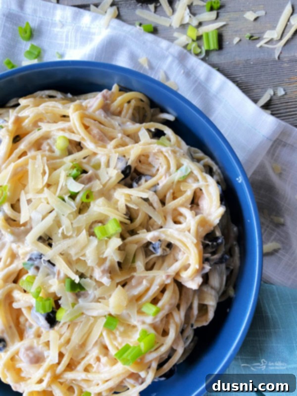One bowl filled with delicious creamy tuna spaghetti, ready to serve