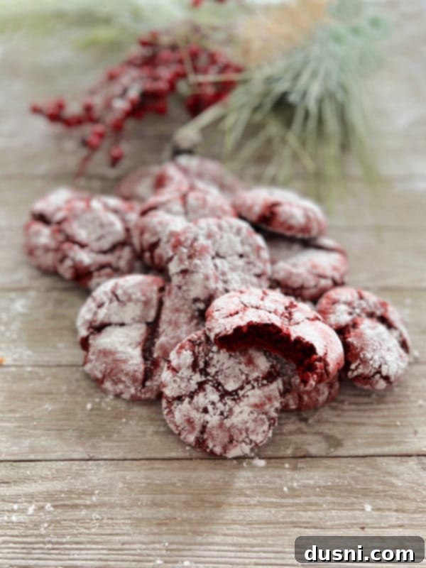 Red Velvet Crinkles Red Velvet Crinkle Cookies on a wooden surface, showcasing their distinct powdered sugar coating and vibrant red interior.