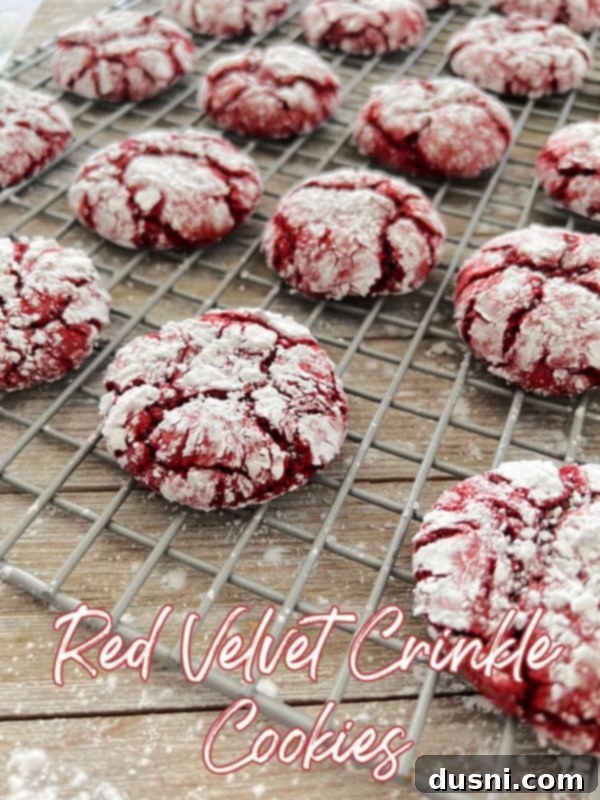 Crimson Velvet Crinkle Cookies 5 Red Velvet Crinkle Cookies cooling on a wire rack, ready to be devoured.