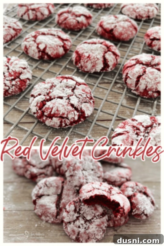 Crimson Velvet Crinkle Cookies 8 Close-up of red crinkle cookies on a wire rack, with their powdered sugar coating and distinct cracks visible.