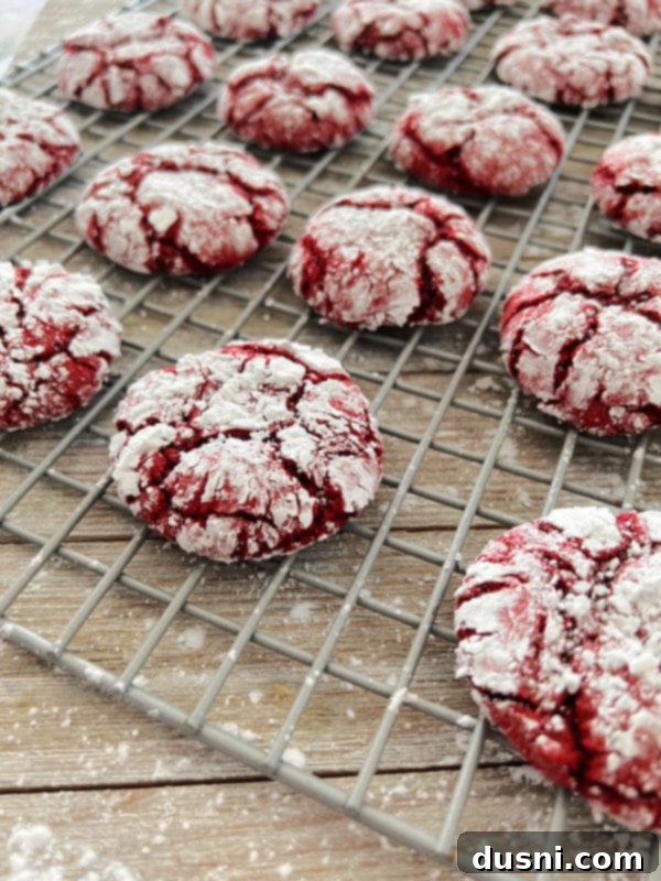 Crimson Velvet Crinkle Cookies 3 Freshly baked red velvet crinkle cookies cooling on a wire rack.