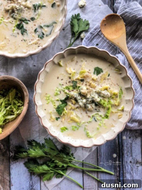 Savory Creamy Cabbage and Bleu Cheese Soup 2 Cabbage and Blue Cheese Soup in a bowl