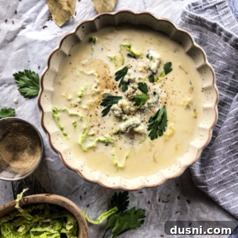 Savory Creamy Cabbage and Bleu Cheese Soup 12 Multiple bowls of Cabbage & Bleu Cheese Soup