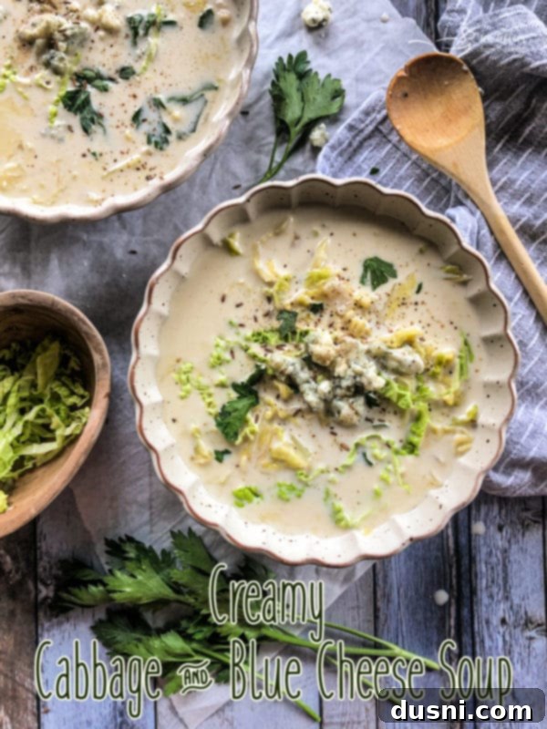Savory Creamy Cabbage and Bleu Cheese Soup 13 Cabbage and Bleu Cheese Soup with serving suggestion