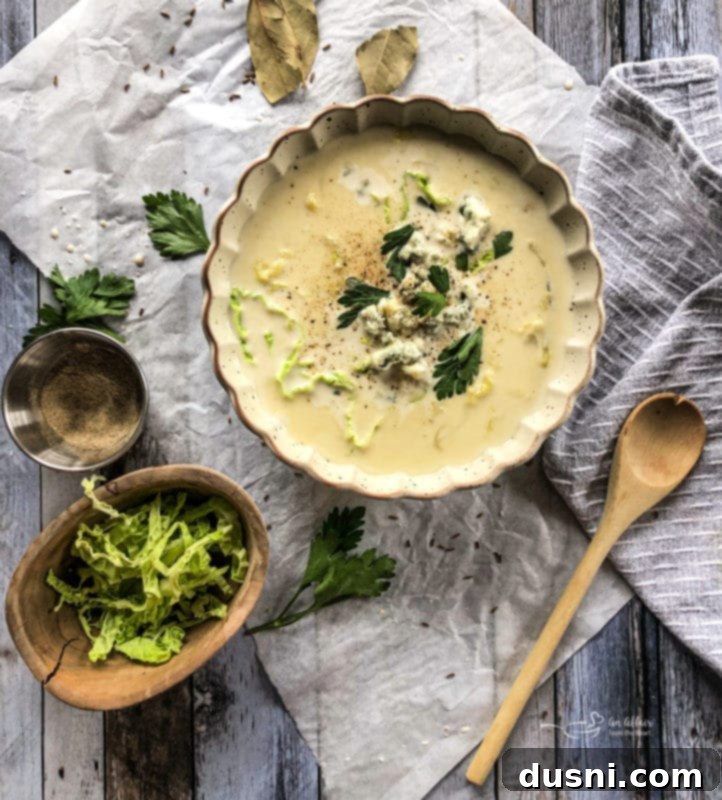 Savory Creamy Cabbage and Bleu Cheese Soup 5 Ingredients for Cabbage and Blue Cheese Soup