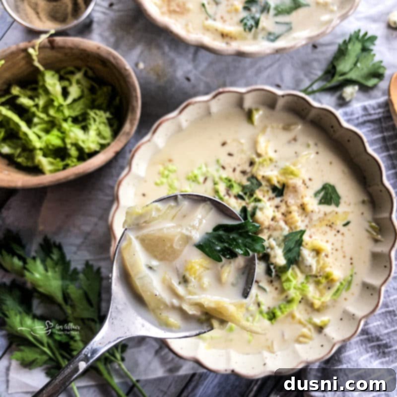 Savory Creamy Cabbage and Bleu Cheese Soup 6 Cabbage and Bleu Cheese Soup being served