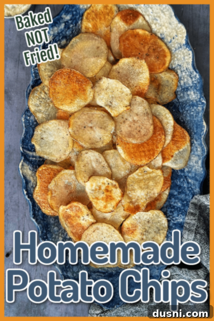 Oven-Fresh Potato Crisps 9 Baked potato chips displayed on a plate with fresh ingredients