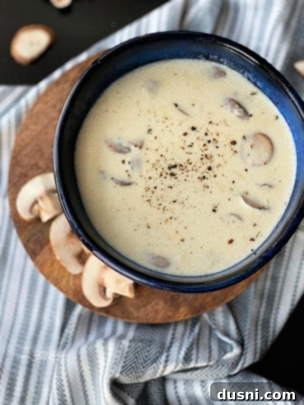 Velvet Mushroom Dream 4 A large pot of simmering homemade cream of mushroom soup on a stovetop.