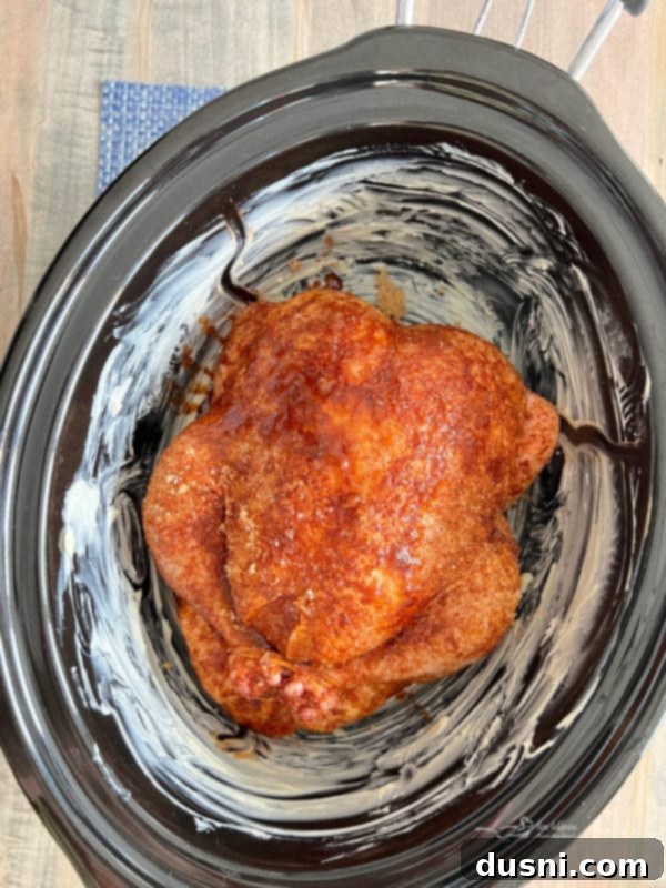 Seasoned whole chicken placed breast-side up in a buttered slow cooker