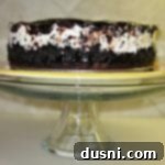 Side view of cookies and cream ice cream cake on a cake stand