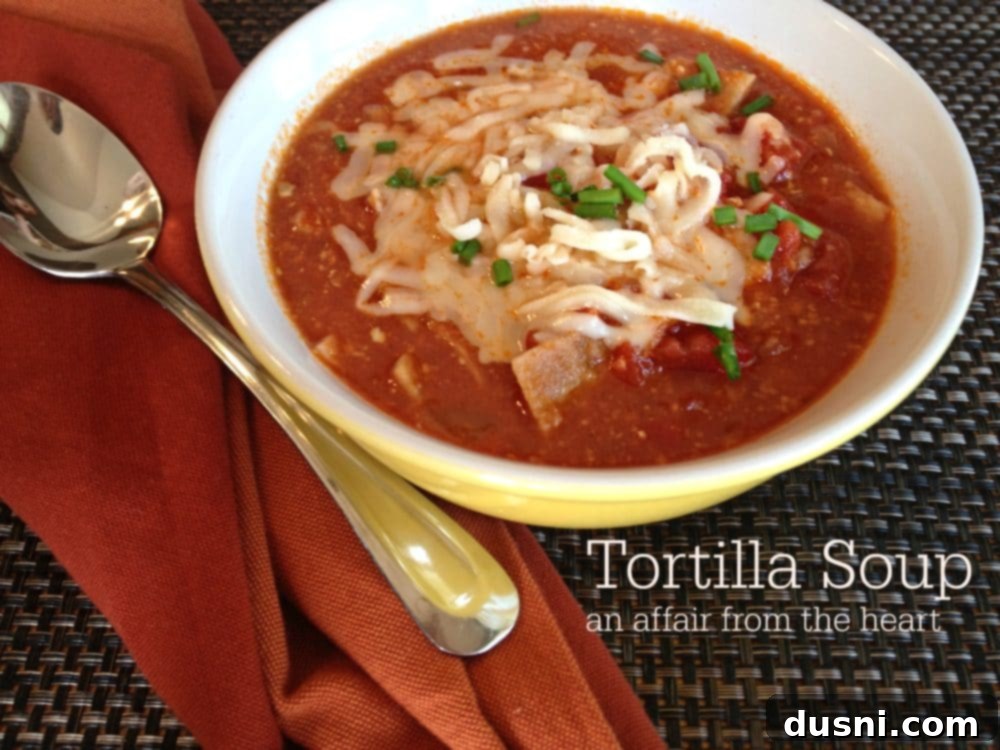 A beautifully presented bowl of tortilla soup in a white bowl, garnished with fresh toppings and ready to be served.