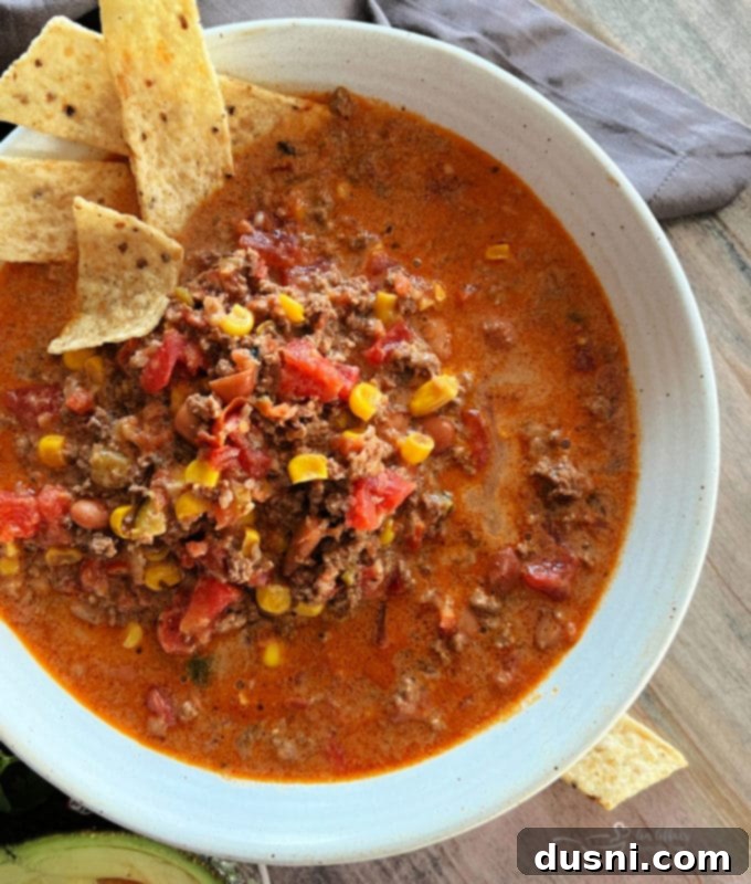 Fiesta Taco Soup 5 Taco Soup served with tortilla chips and fresh cilantro