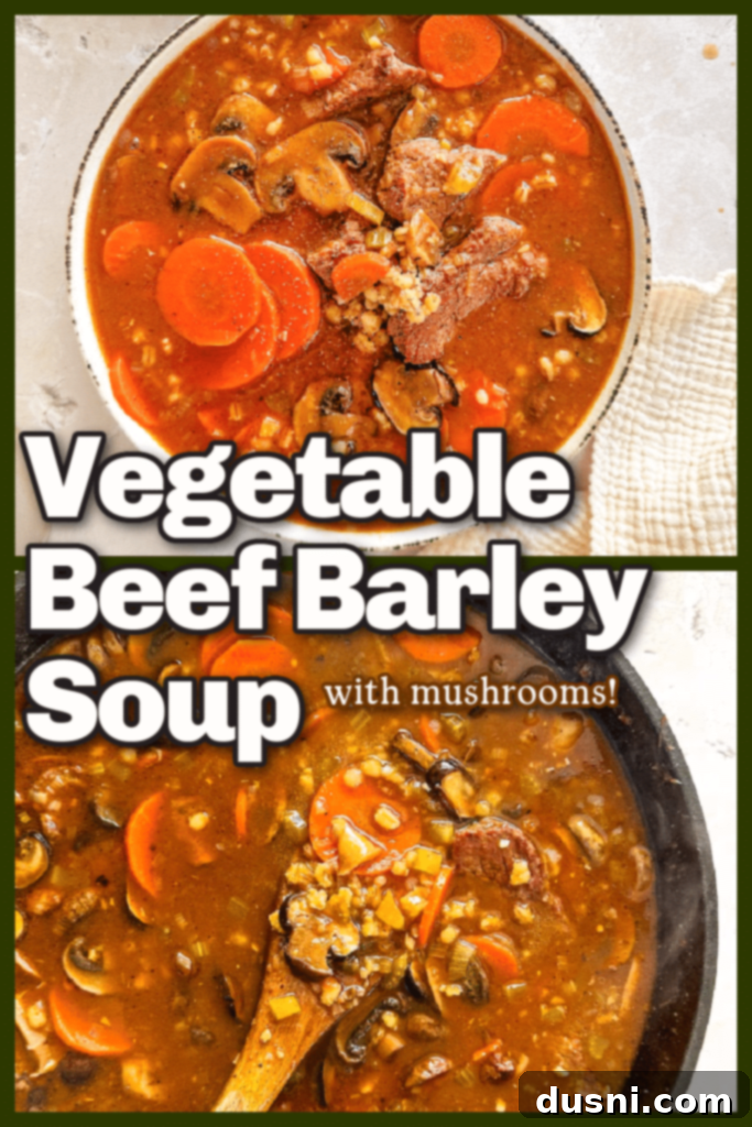 Hearty Beef and Mushroom Barley Soup 12 A bowl of Vegetable Beef Barley Soup with Mushrooms, ready to be enjoyed.