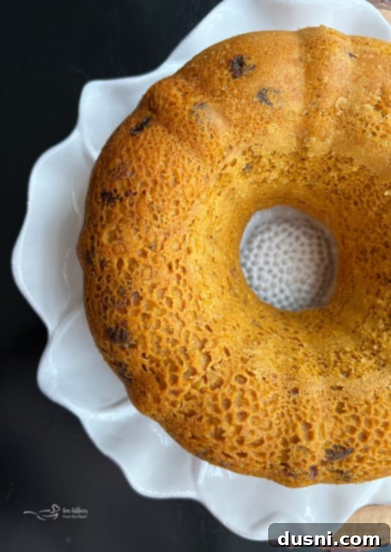 Unglazed Carrot Cake