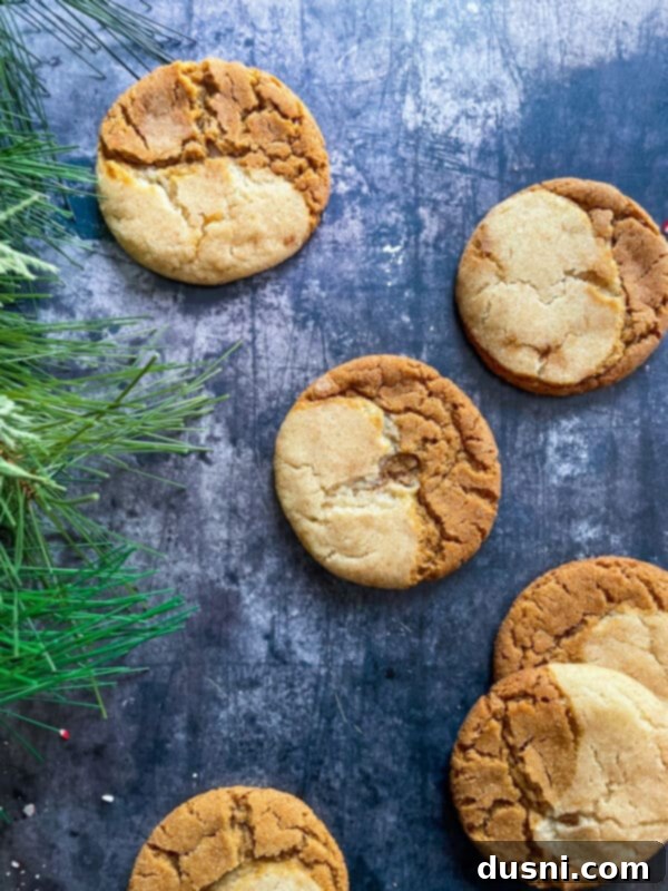 A close-up of a single Gingerdoodle cookie, highlighting its soft interior and perfectly baked texture.