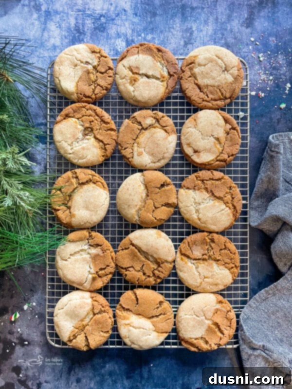 A batch of Gingerdoodle cookies on a baking sheet, fresh from the oven, showing their golden color.