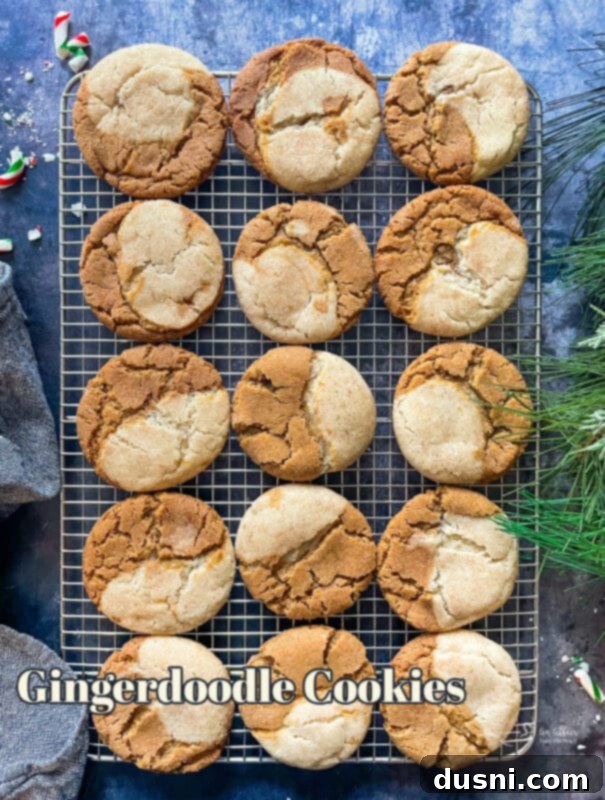 A close-up hero shot of baked Gingerdoodle cookies, highlighting their beautiful swirl and inviting texture.