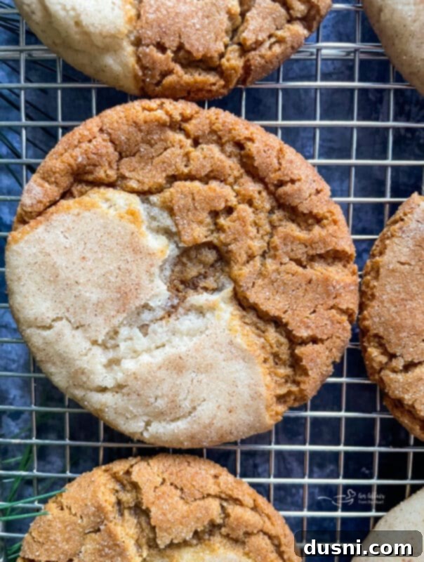 Several Gingerdoodle Cookies arranged on a festive holiday platter, ready for serving.