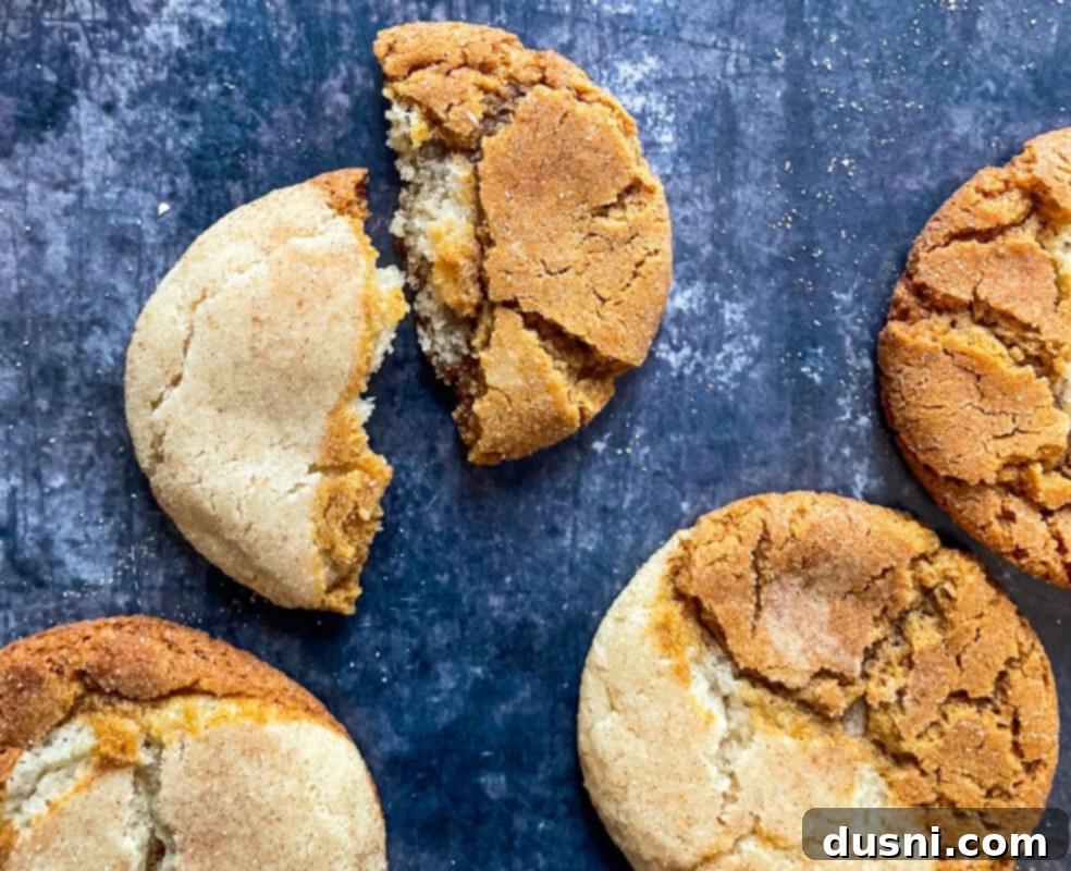 Close-up of baked Gingerdoodle cookies on a cooling rack, showing the golden edges and textured tops.