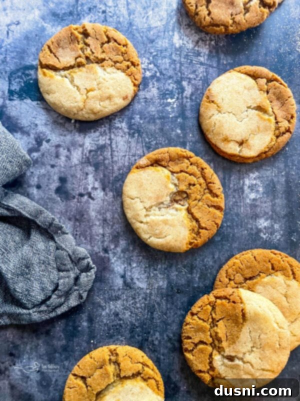 Two unbaked Gingerdoodle cookie dough balls, one light and one dark, ready to be combined.