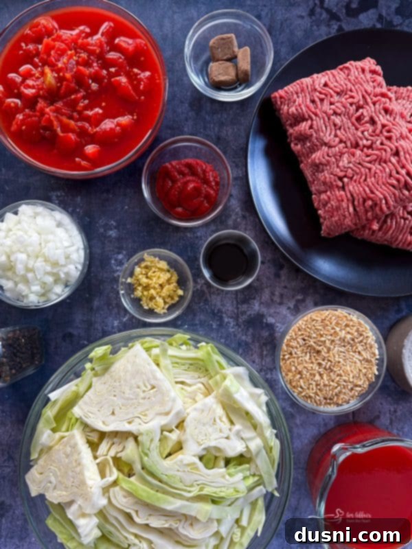 Classic Cabbage Roll Soup Made Two Ways 5 Close up of Cabbage Roll Soup in a bowl with a sprig of parsley
