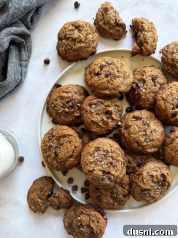 A plate of golden brown Malted Chocolate Chip Cookies, featuring a rich, chewy texture and melted chocolate chips