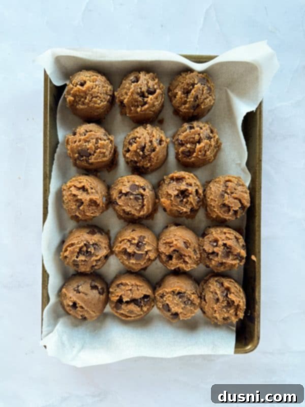 Chocolate chip cookie dough with malt, showing rich texture and plenty of chocolate chips.