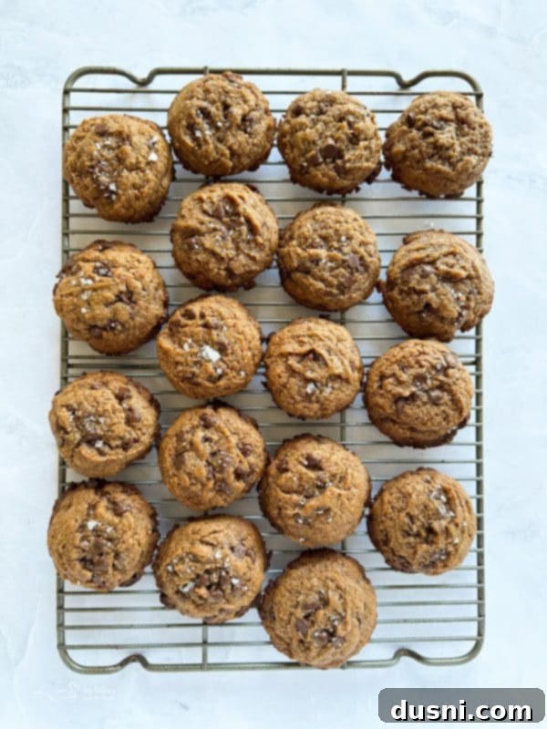 Close-up of golden brown Malted Chocolate Chip Cookies on a baking sheet, fresh out of the oven.